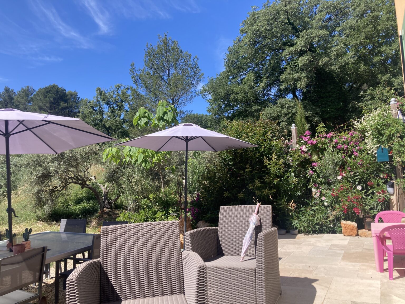 2024_05_25 Mas des Oliviers_Ext (9)