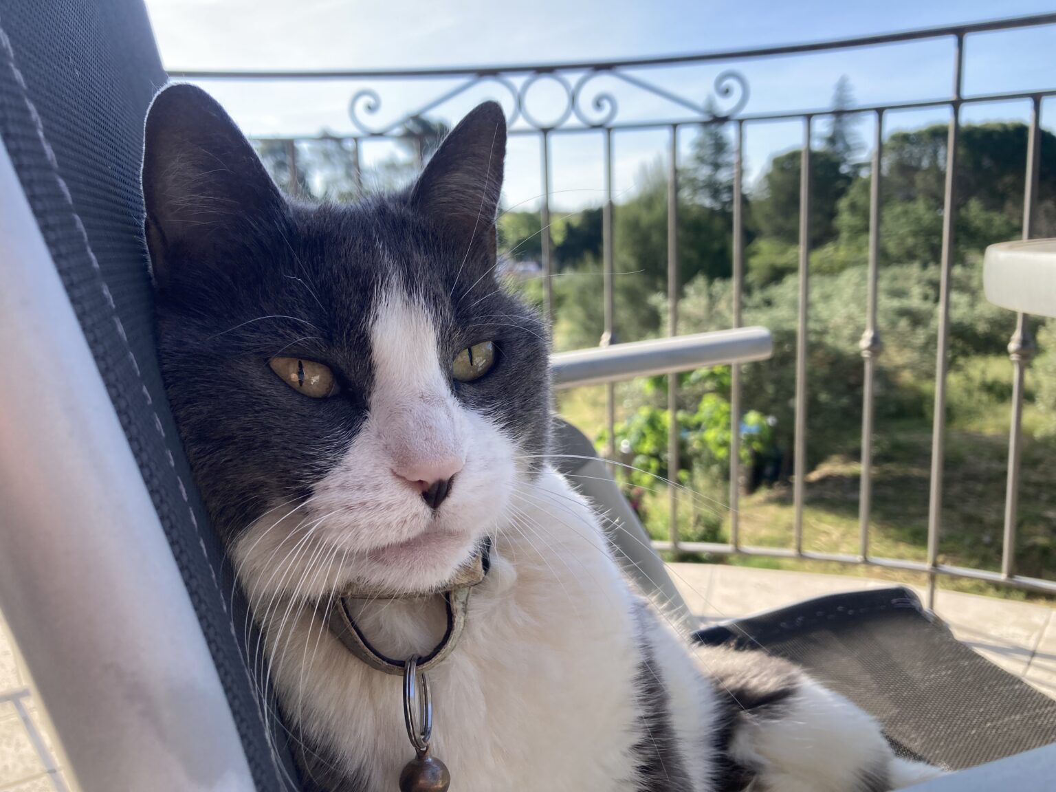 2024_05_26 Mas des Oliviers_Ext (8)