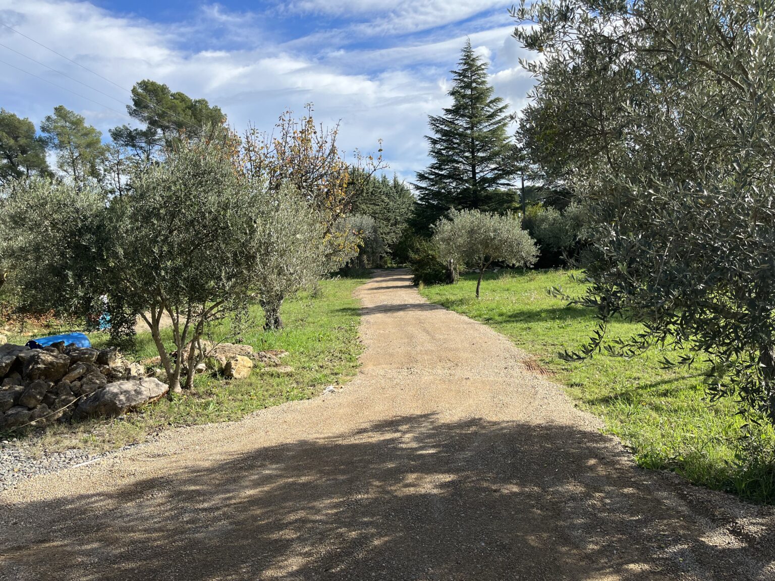 2024_10_19_Chemin_entrée_sud_(2)